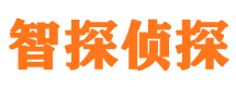 新建市侦探调查公司